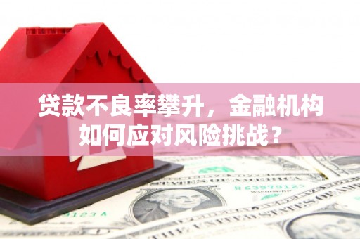 金坛贷款不良率攀升，金融机构如何应对风险挑战？