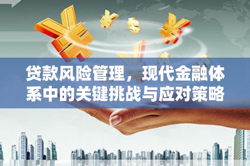 金坛贷款风险管理，现代金融体系中的关键挑战与应对策略