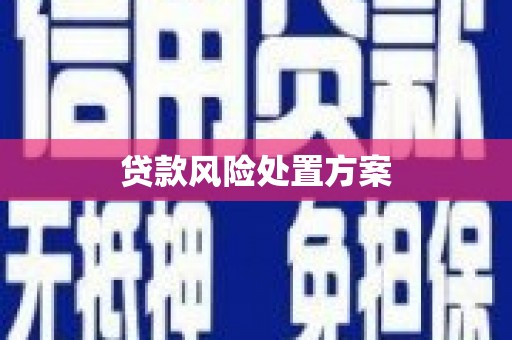 金坛贷款风险处置方案