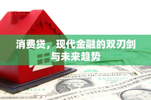 金坛消费贷，现代金融的双刃剑与未来趋势