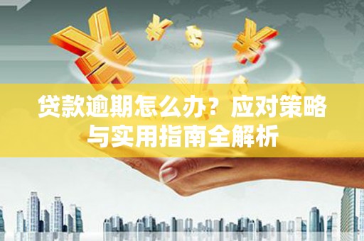 金坛贷款逾期怎么办？应对策略与实用指南全解析