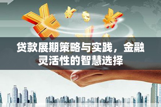 金坛贷款展期策略与实践，金融灵活性的智慧选择