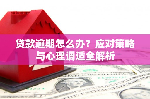 金坛贷款逾期怎么办？应对策略与心理调适全解析