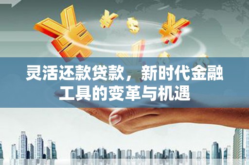 金坛灵活还款贷款，新时代金融工具的变革与机遇