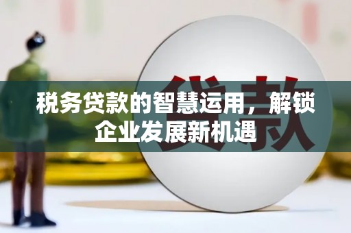 金坛税务贷款的智慧运用，解锁企业发展新机遇