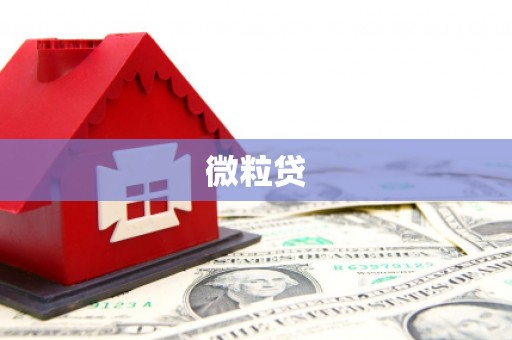 金坛微粒贷