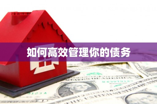 金坛如何高效管理你的债务