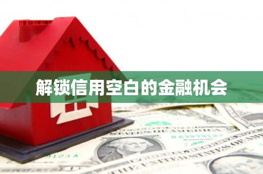 金坛解锁信用空白的金融机会