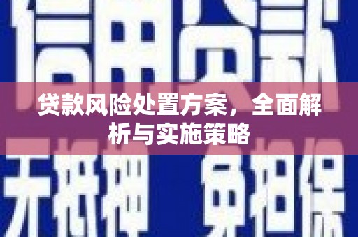 金坛贷款风险处置方案，全面解析与实施策略