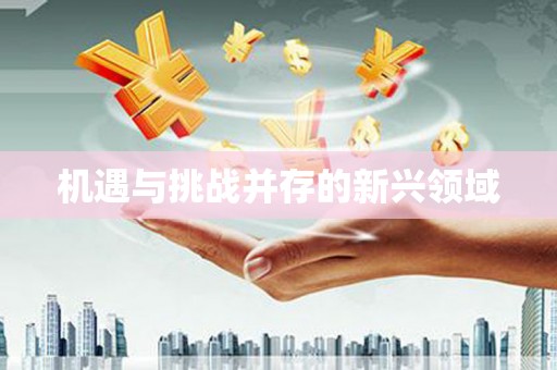 金坛机遇与挑战并存的新兴领域