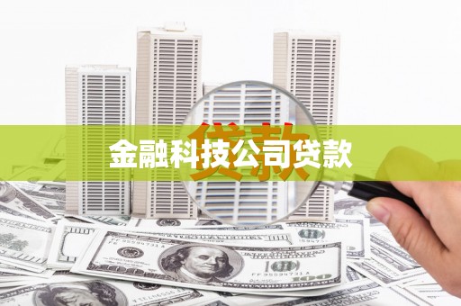 金坛金融科技公司贷款