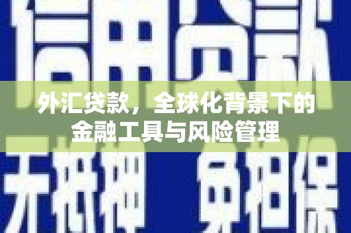 金坛外汇贷款，全球化背景下的金融工具与风险管理
