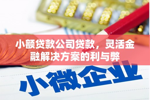 金坛小额贷款公司贷款，灵活金融解决方案的利与弊