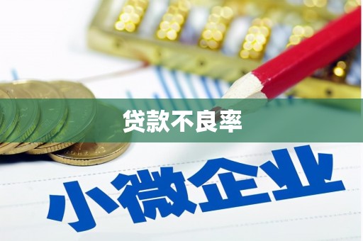 金坛贷款不良率